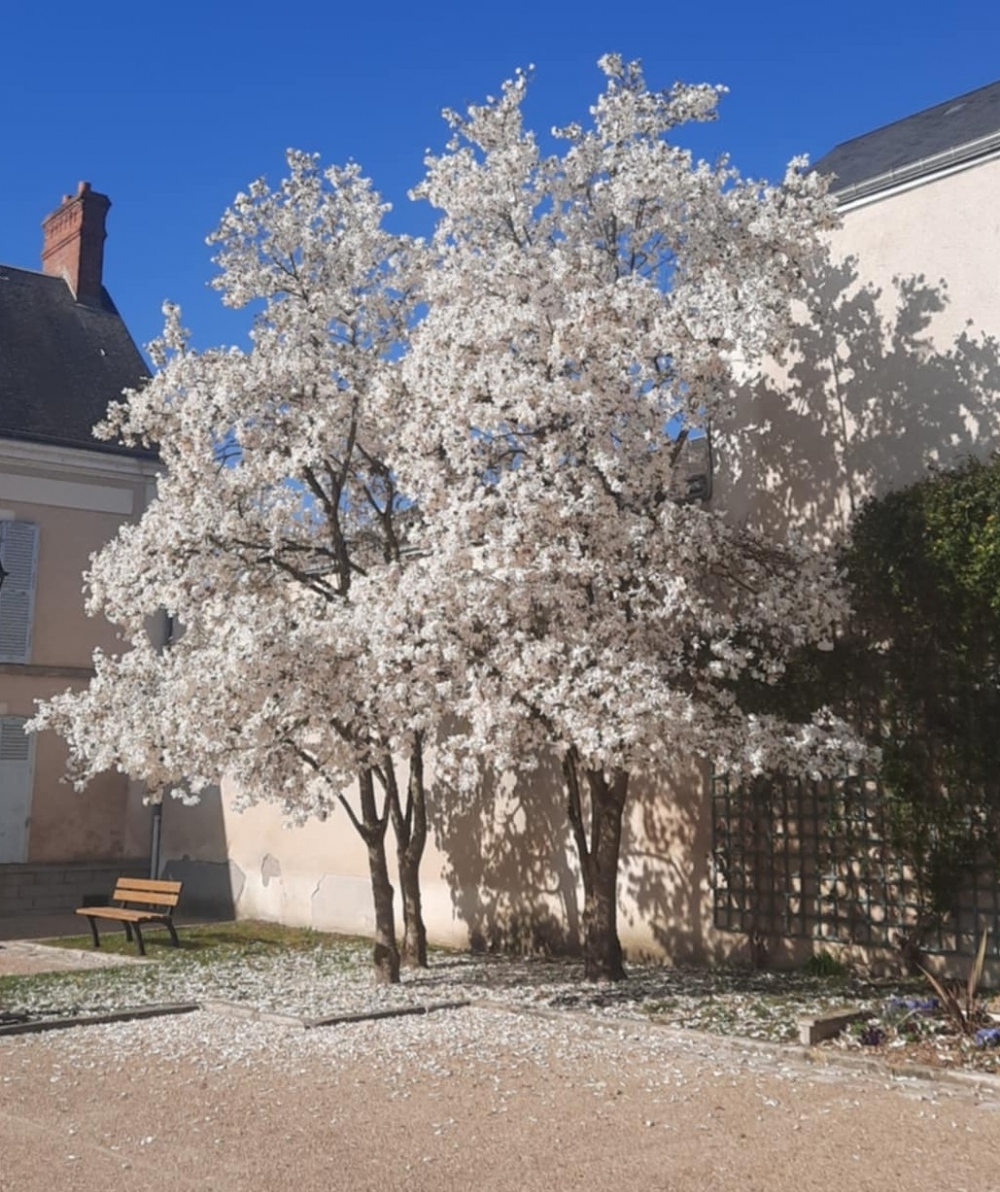 Horaires d'ouverture - Commune de Boynes