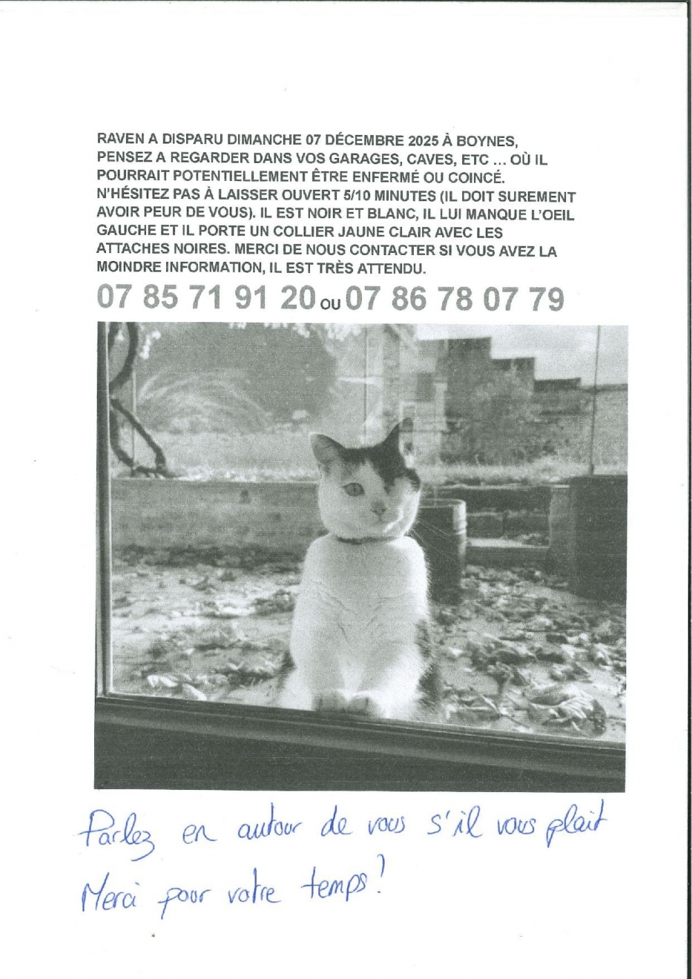 chat "RAVEN" perdu - Commune de Boynes